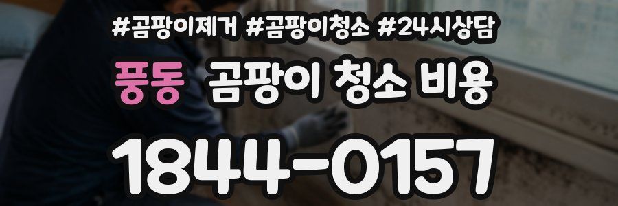 풍동 곰팡이 청소 비용