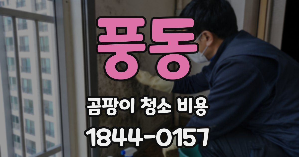 풍동 곰팡이 청소 비용