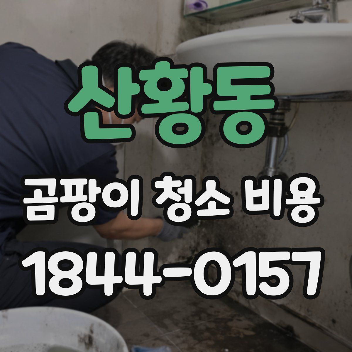 산황동 곰팡이 청소 비용