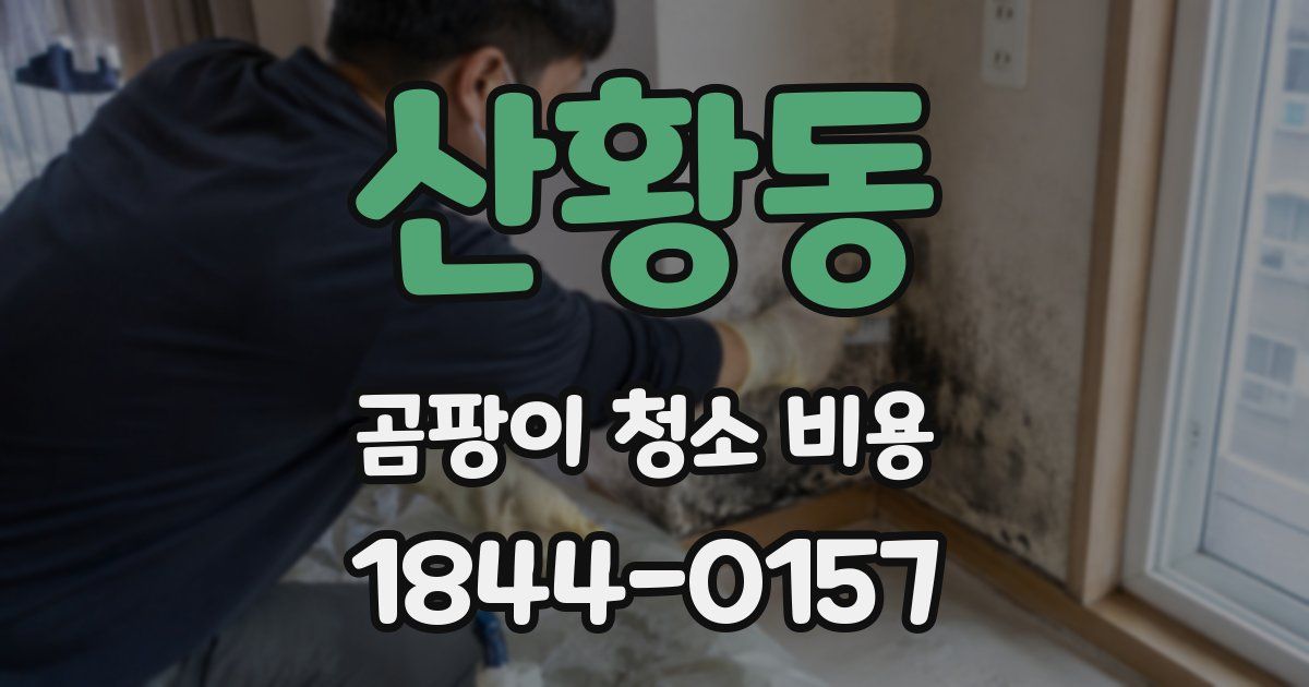 산황동 곰팡이 청소 비용