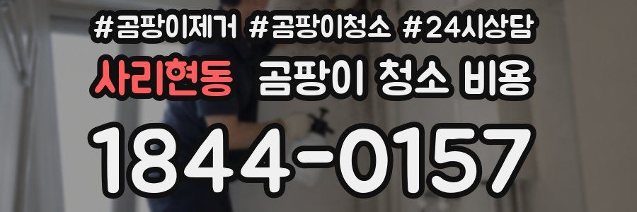 사리현동 곰팡이 청소 비용