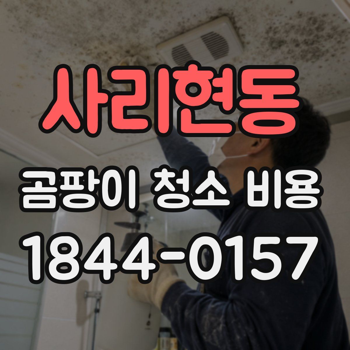 사리현동 곰팡이 청소 비용
