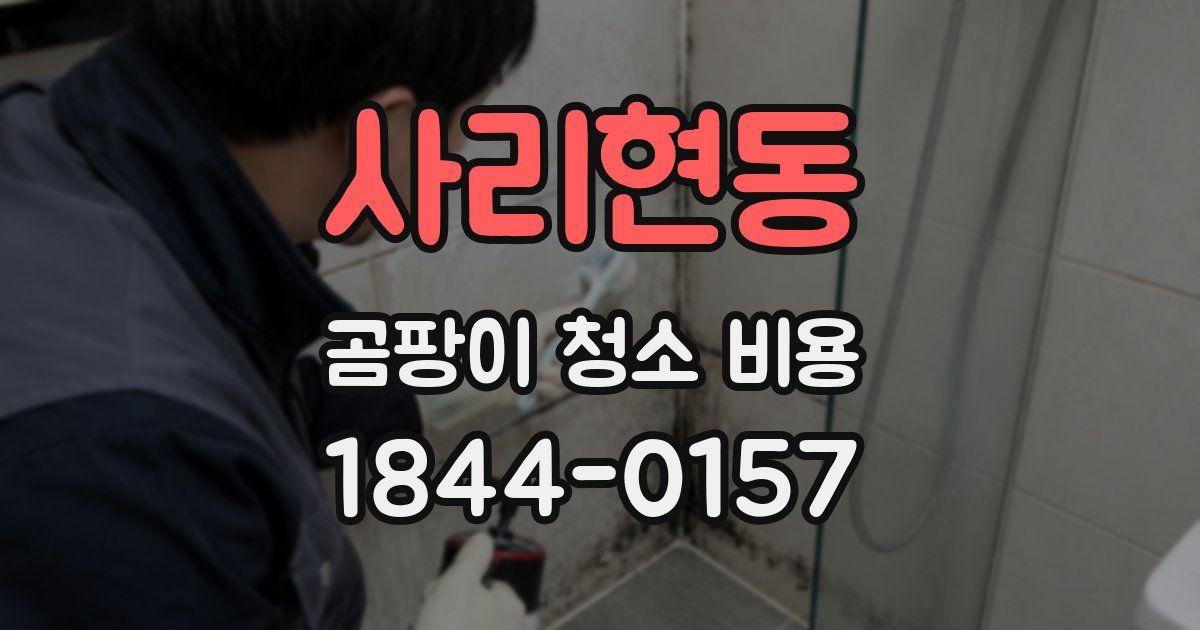 사리현동 곰팡이 청소 비용