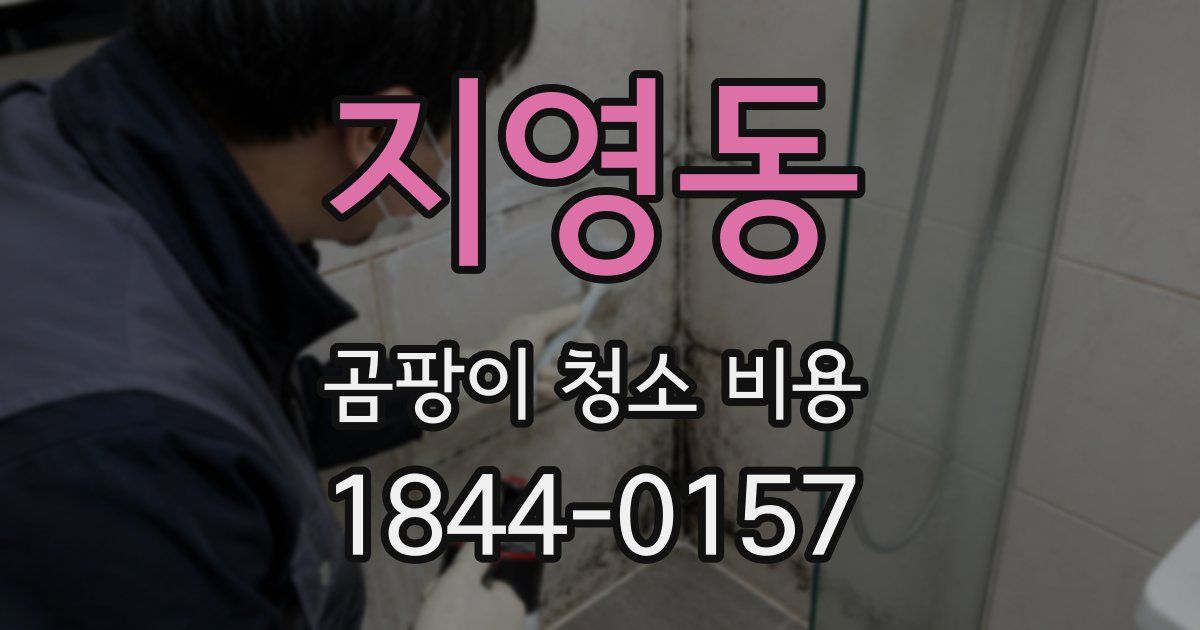 지영동 곰팡이 청소 비용