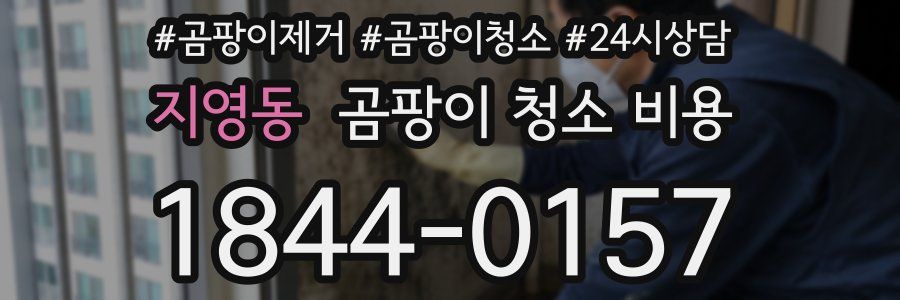 지영동 곰팡이 청소 비용