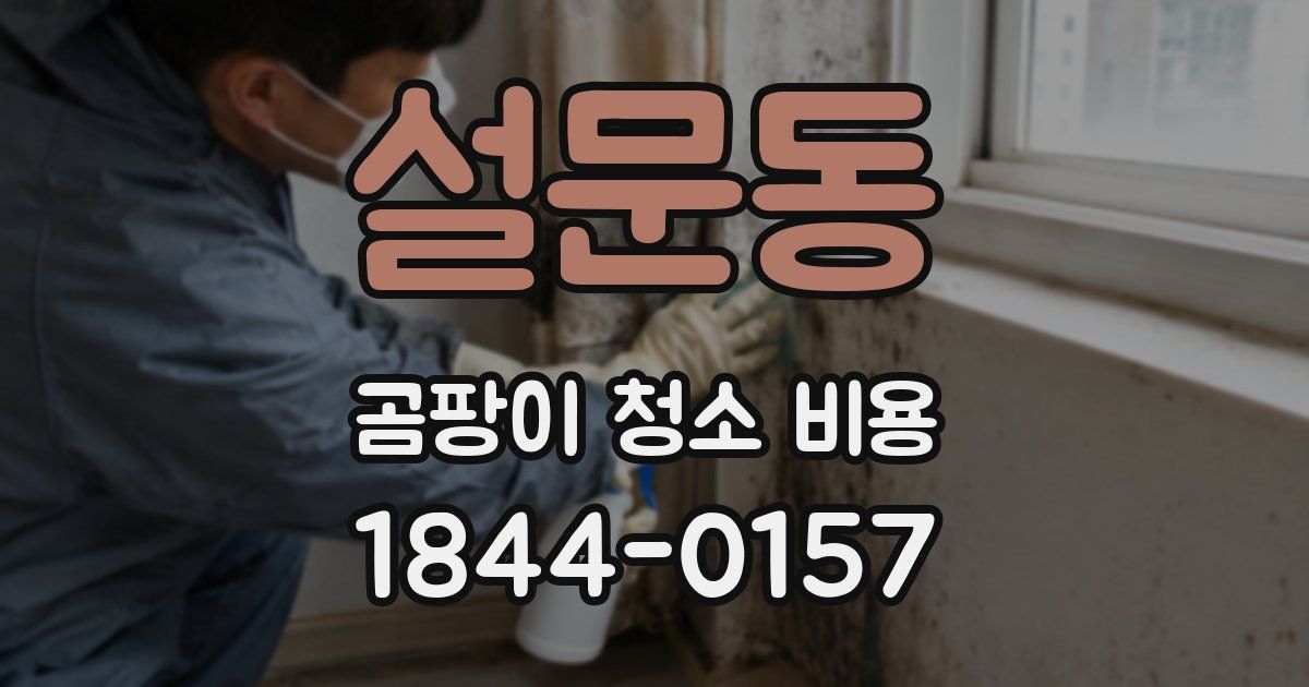 설문동 곰팡이 청소 비용