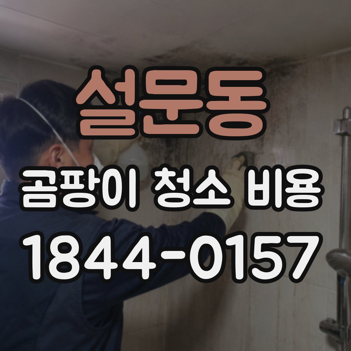 설문동 곰팡이 청소 비용