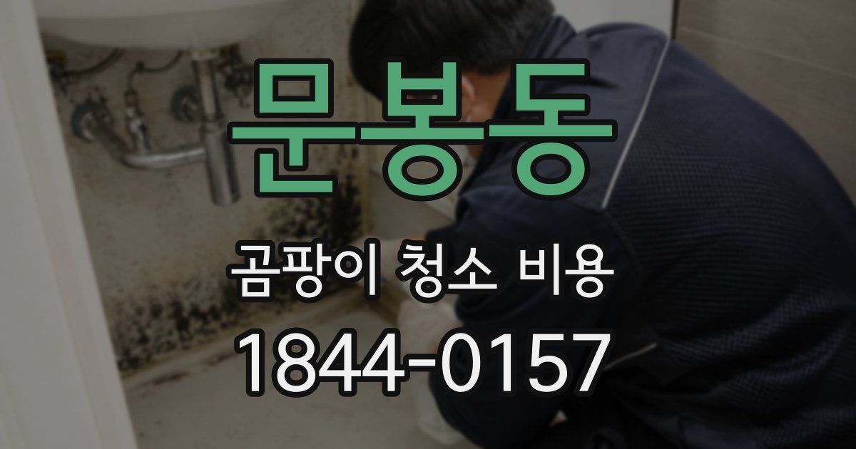 문봉동 곰팡이 청소 비용