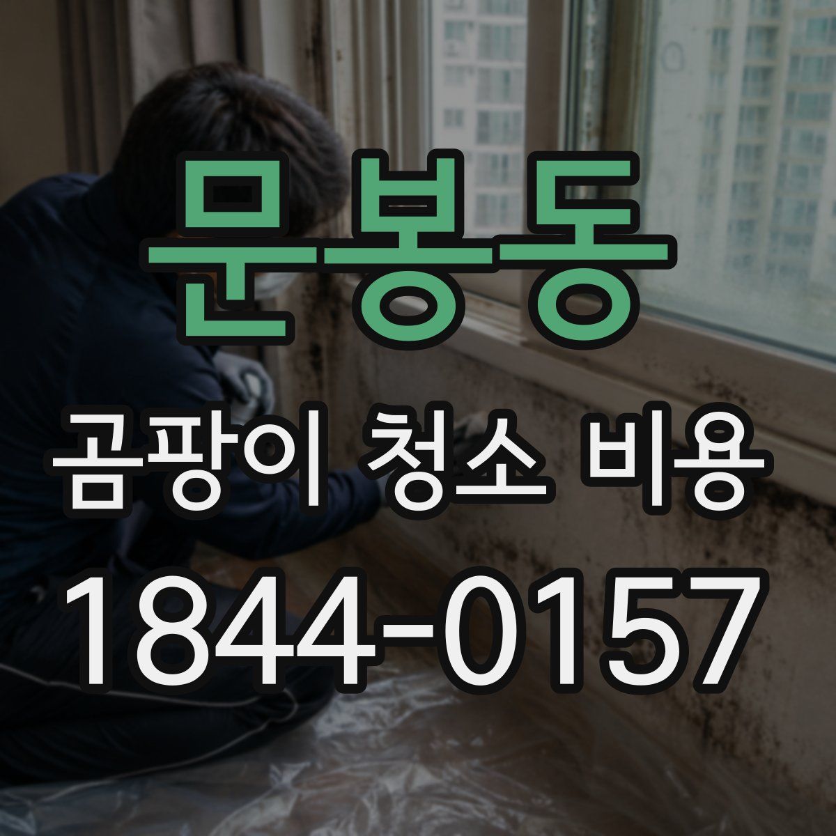 문봉동 곰팡이 청소 비용