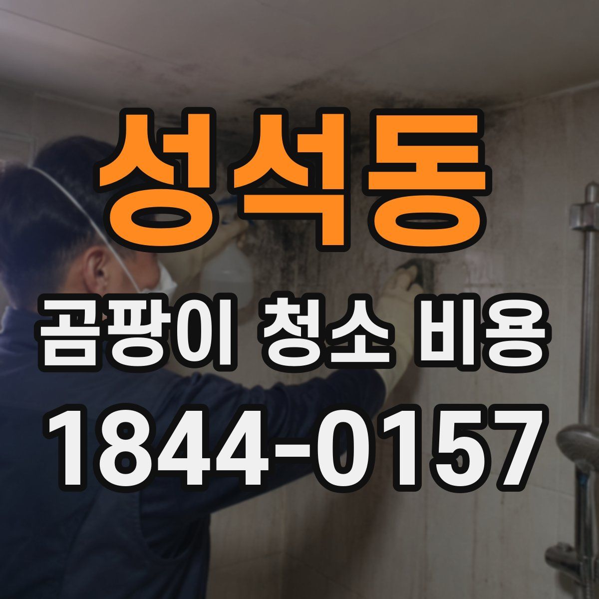 성석동 곰팡이 청소 비용