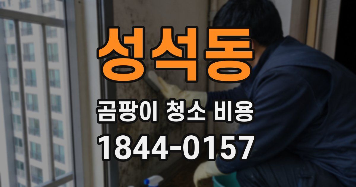 성석동 곰팡이 청소 비용