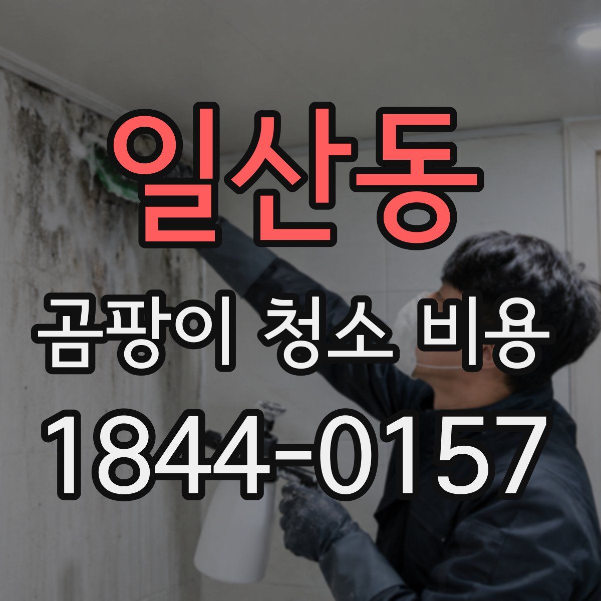 일산동 곰팡이 청소 비용