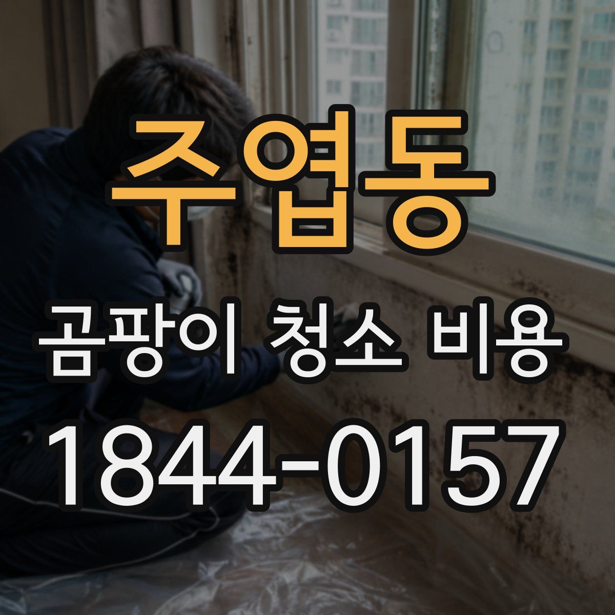 주엽동 곰팡이 청소 비용