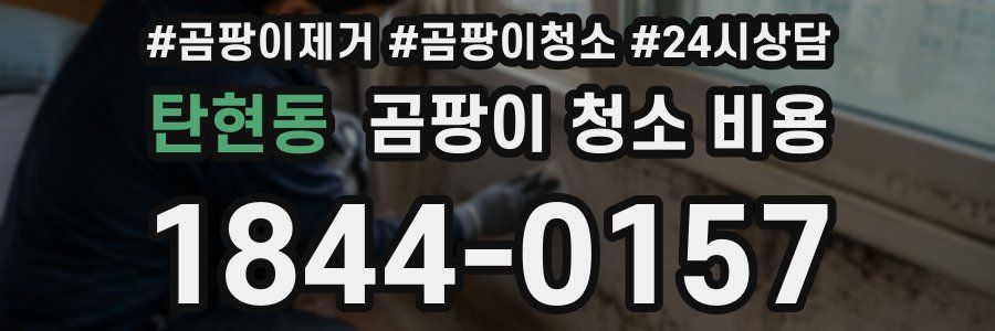 탄현동 곰팡이 청소 비용