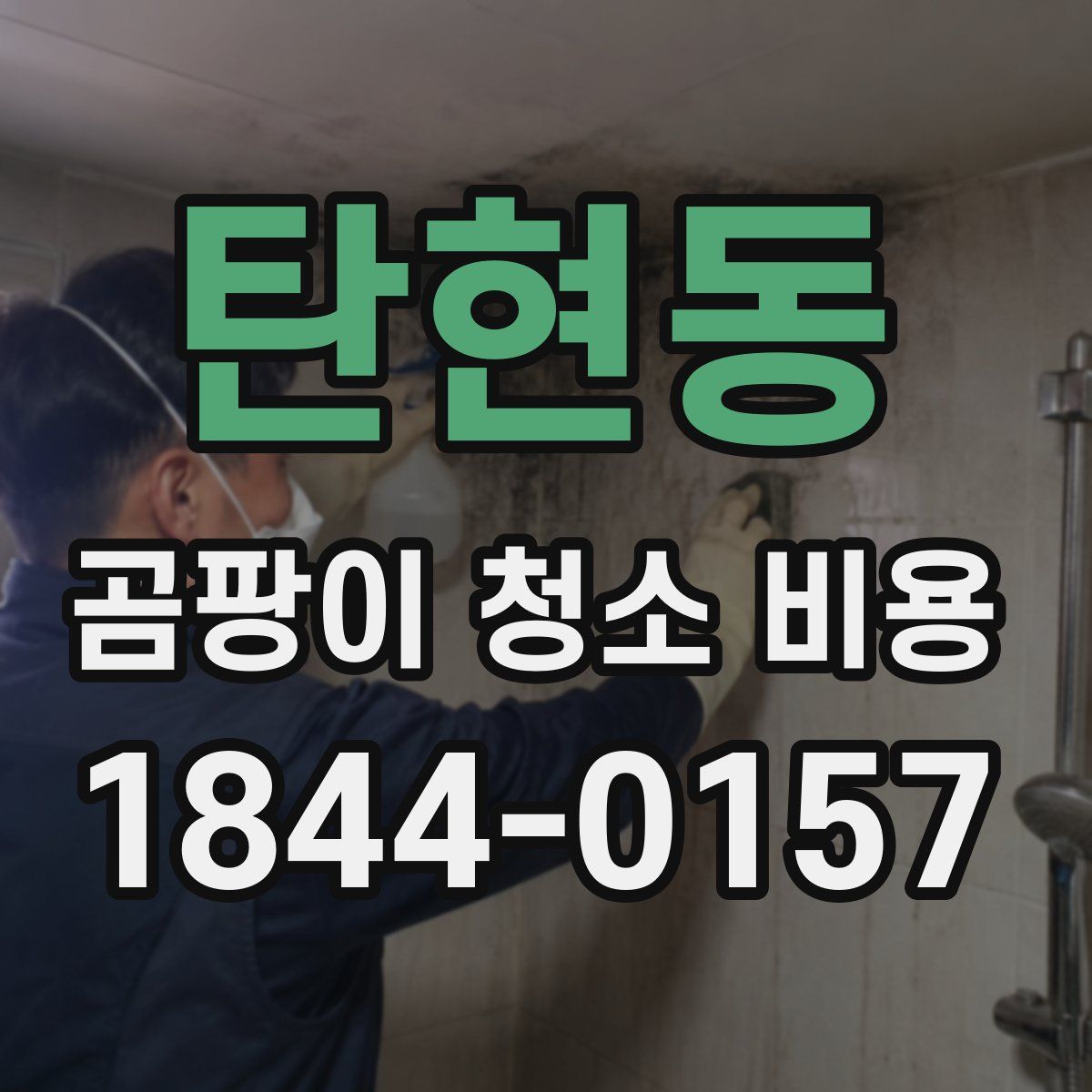 탄현동 곰팡이 청소 비용