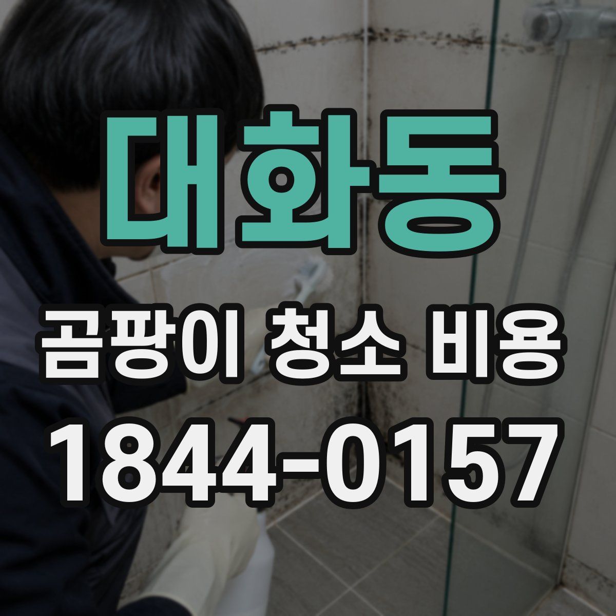 대화동 곰팡이 청소 비용