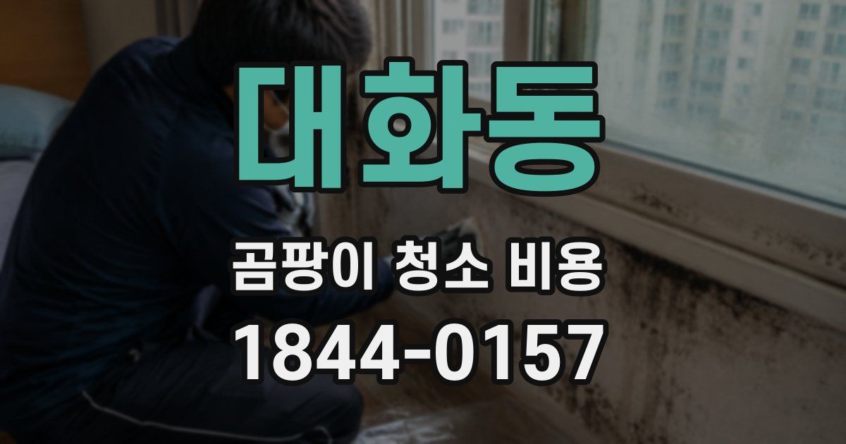 대화동 곰팡이 청소 비용