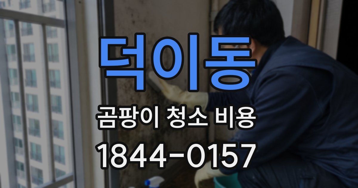 덕이동 곰팡이 청소 비용