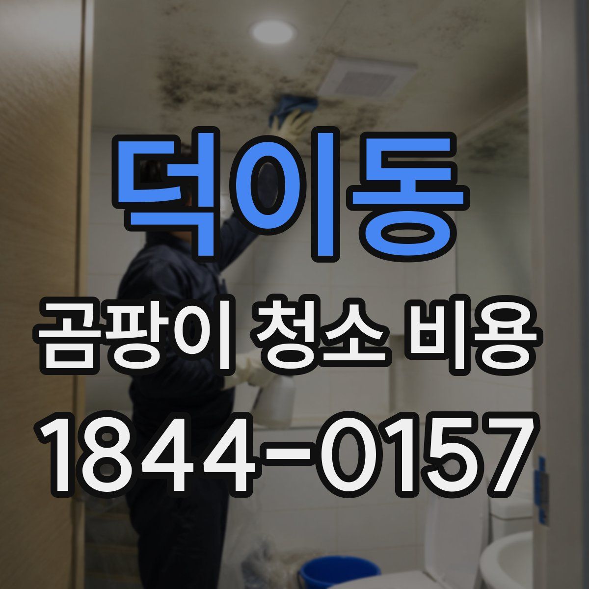 덕이동 곰팡이 청소 비용