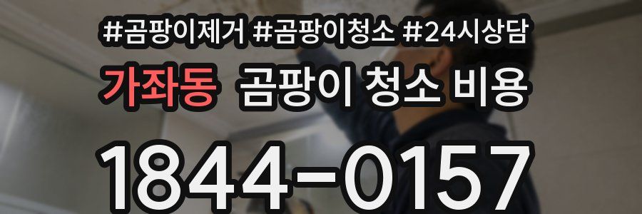 가좌동 곰팡이 청소 비용