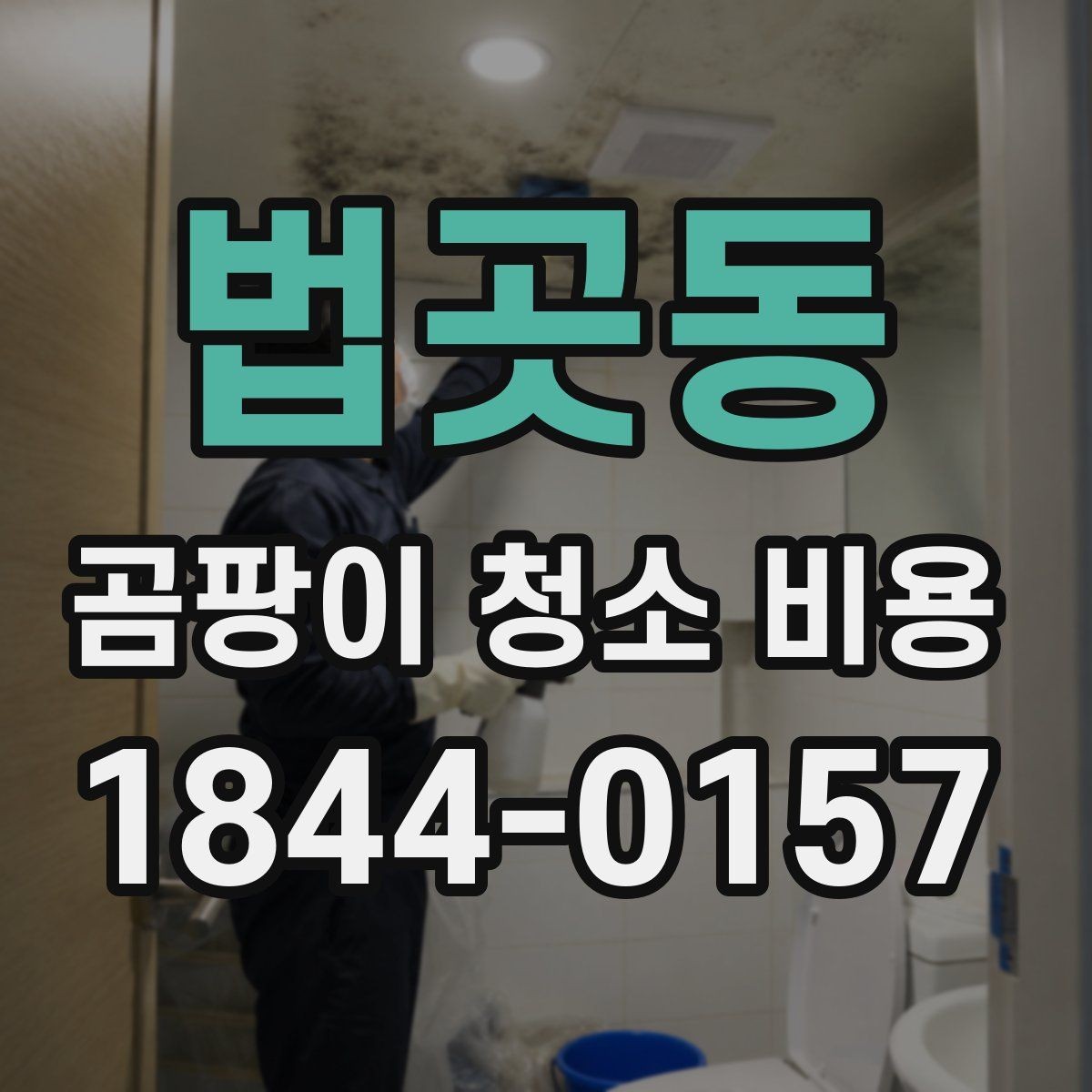 법곳동 곰팡이 청소 비용 결로 개선 없이 청소만 했을 때 생기는 문제