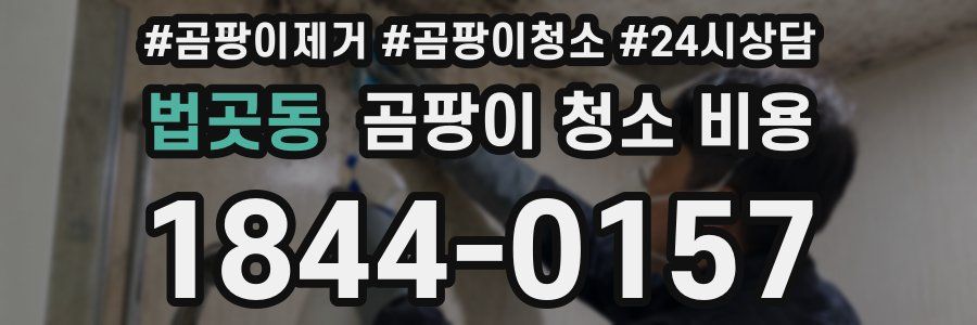 법곳동 곰팡이 청소 비용