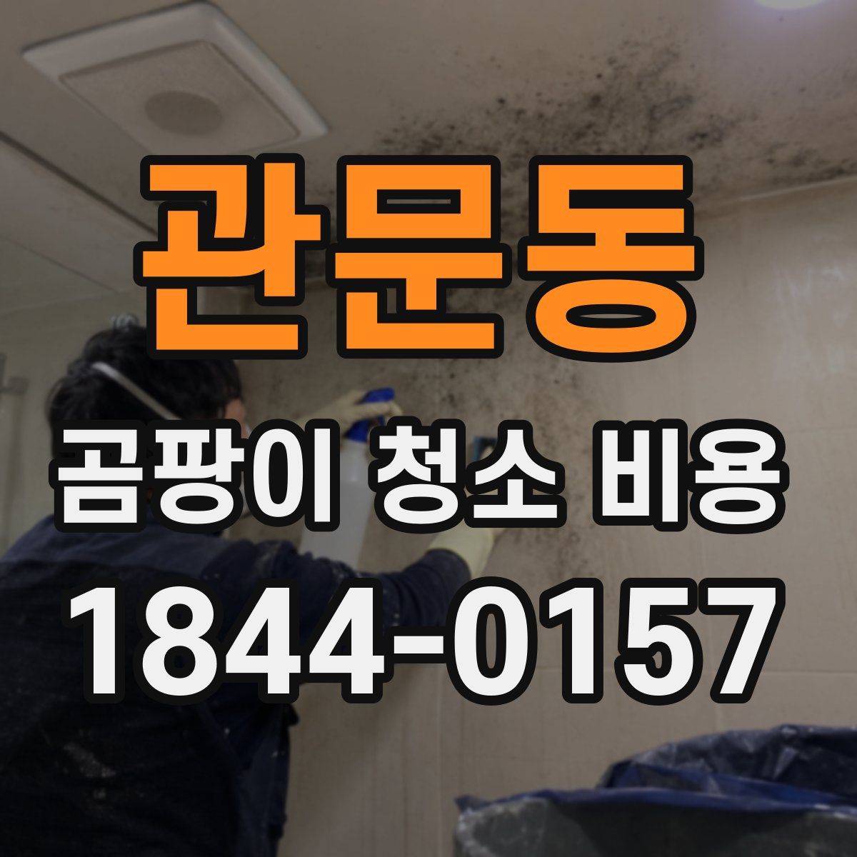 관문동 곰팡이 청소 비용