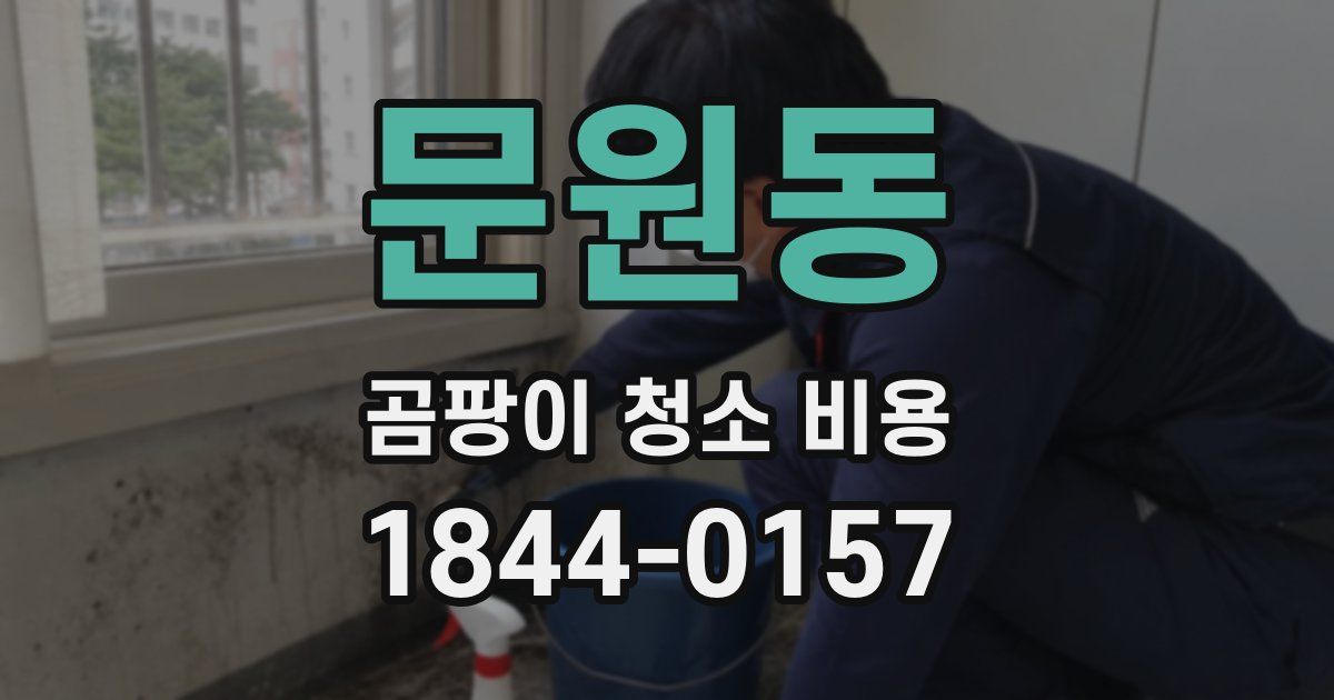 문원동 곰팡이 청소 비용