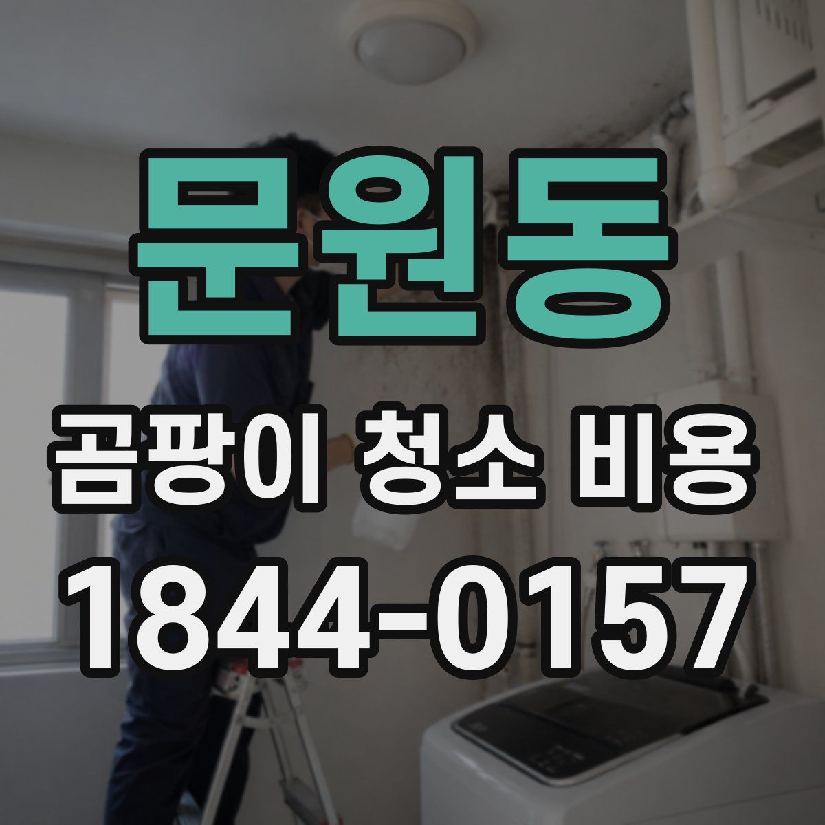 문원동 곰팡이 청소 비용