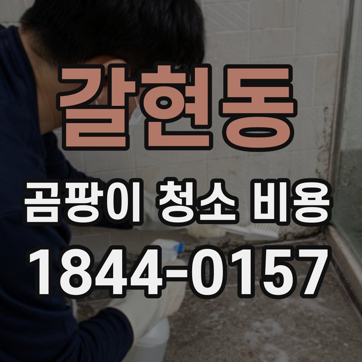 갈현동 곰팡이 청소 비용