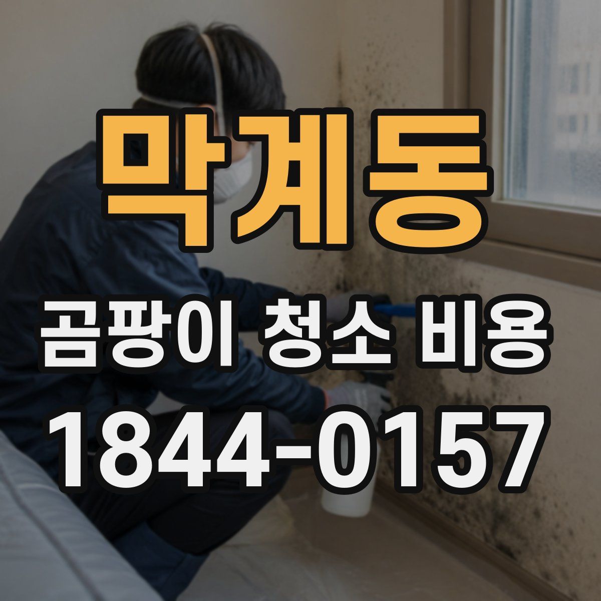 막계동 곰팡이 청소 비용