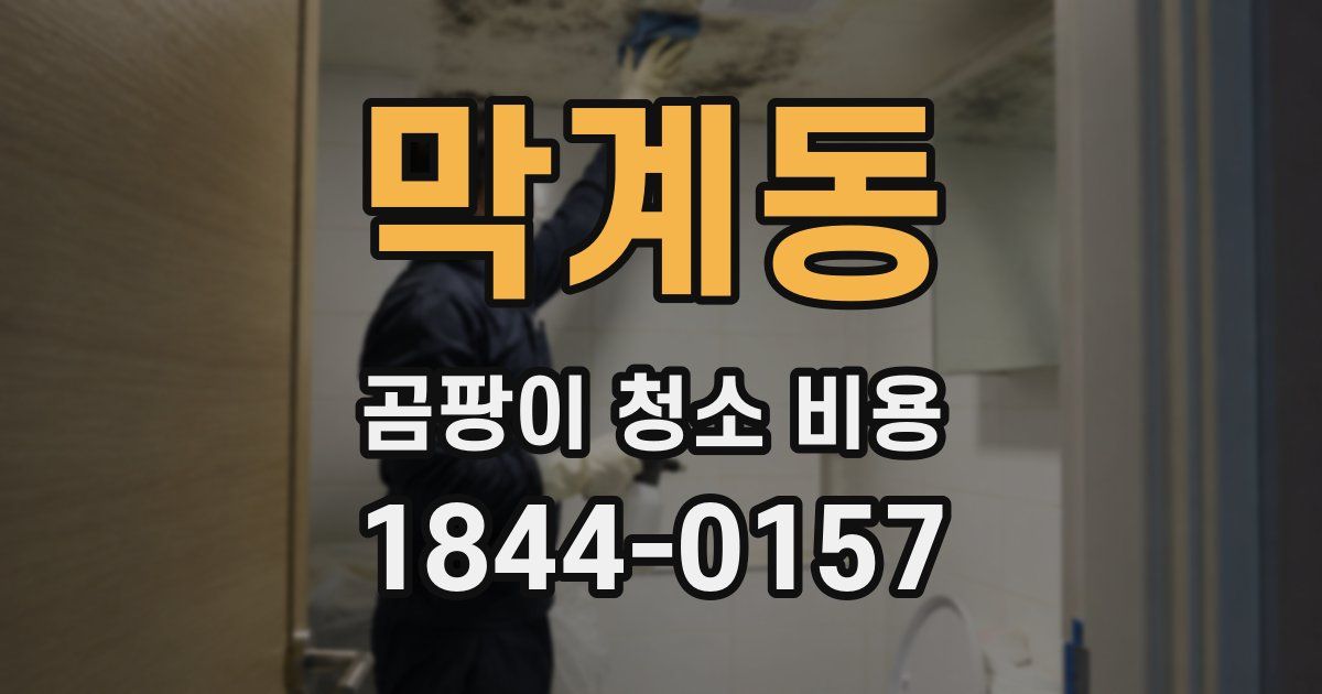 막계동 곰팡이 청소 비용