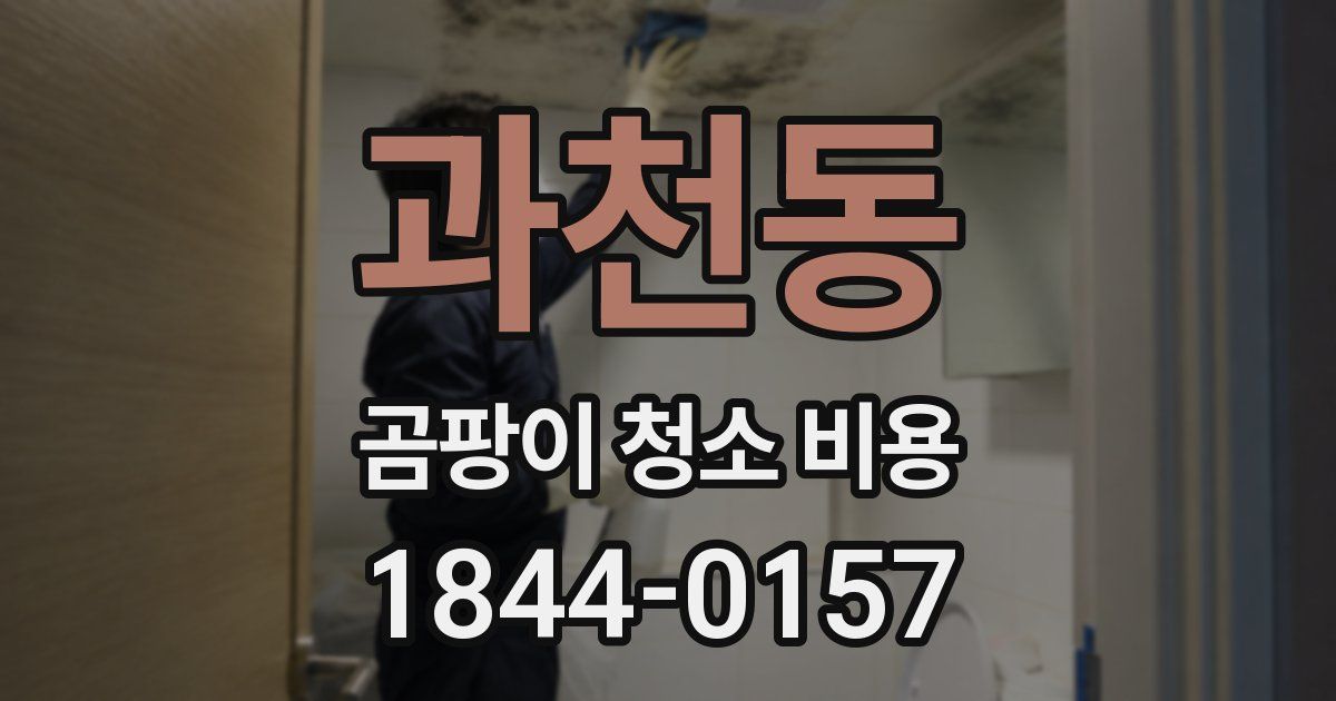 과천동 곰팡이 청소 비용