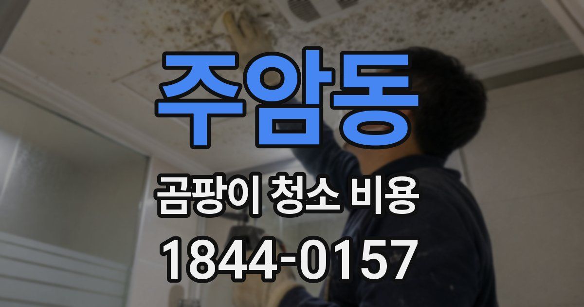 주암동 곰팡이 청소 비용