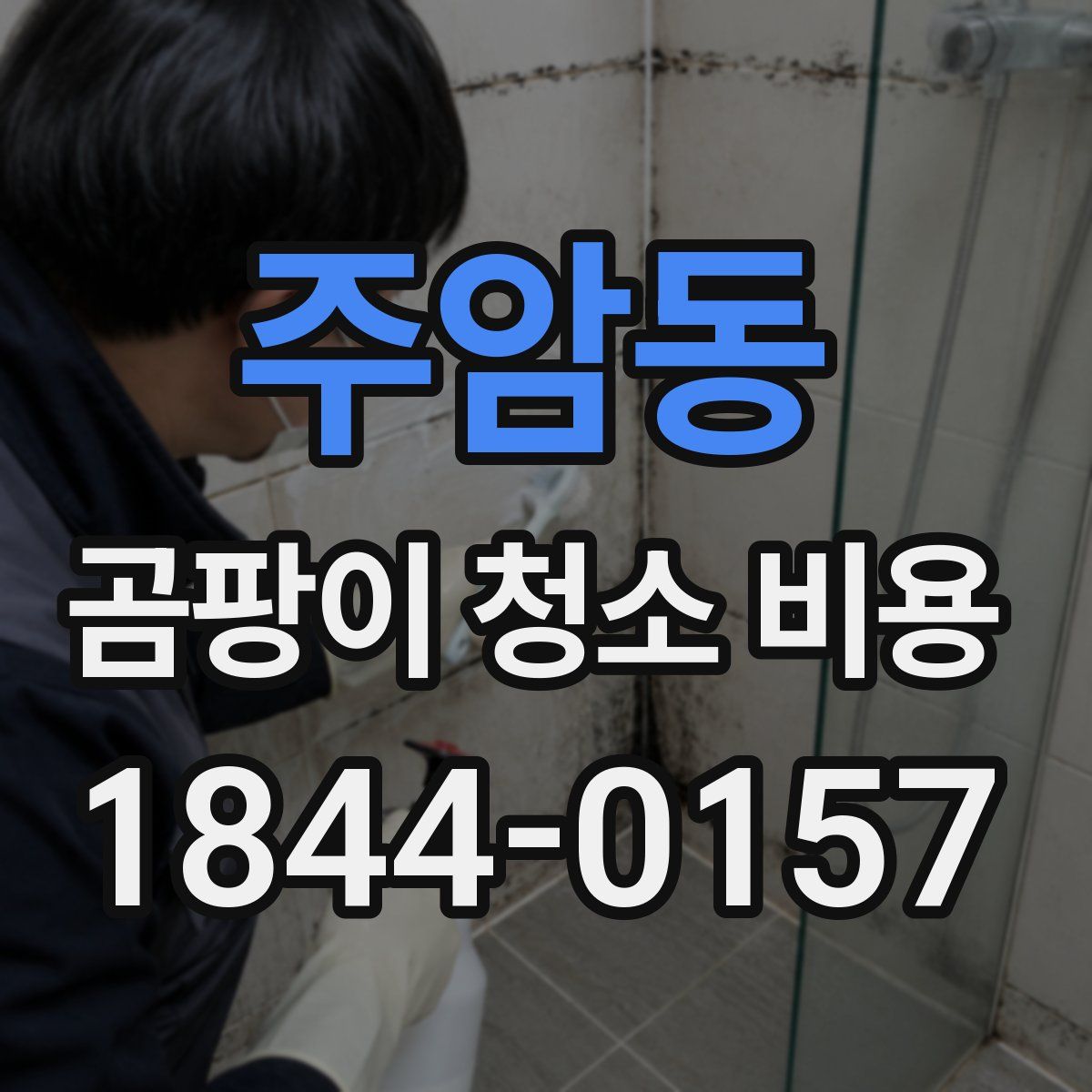 주암동 곰팡이 청소 비용