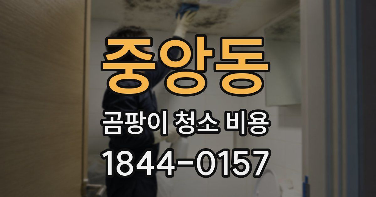 중앙동 곰팡이 청소 비용