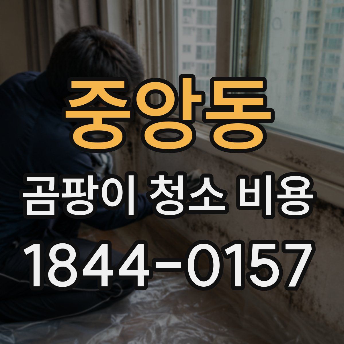 중앙동 곰팡이 청소 비용