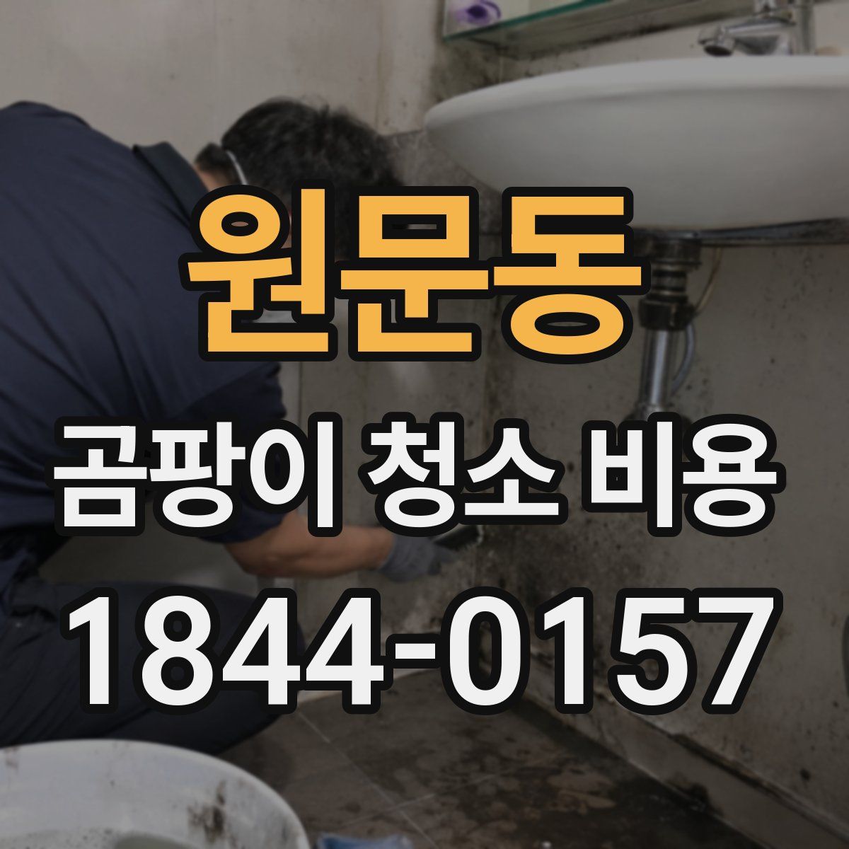 원문동 곰팡이 청소 비용