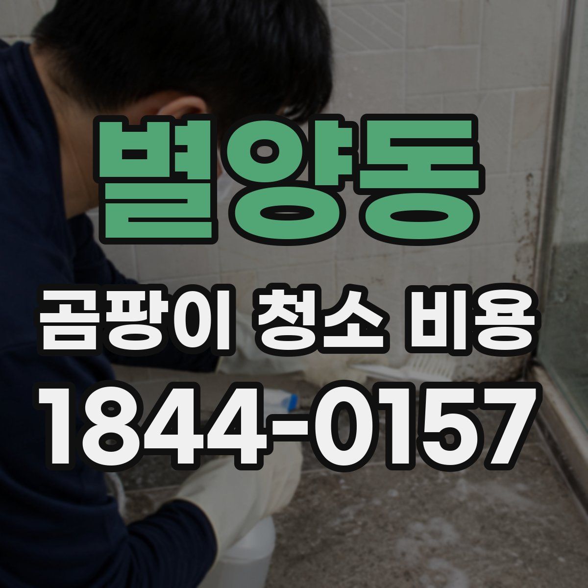 별양동 곰팡이 청소 비용