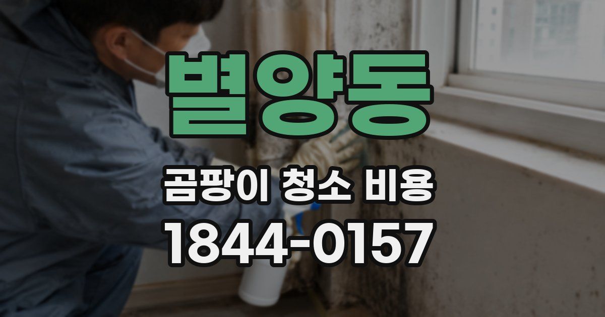 별양동 곰팡이 청소 비용