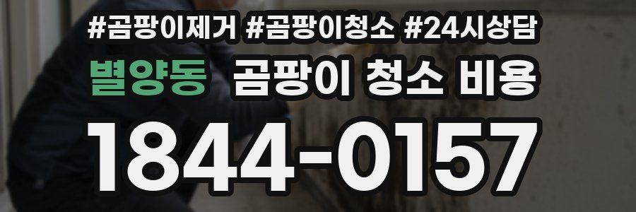 별양동 곰팡이 청소 비용