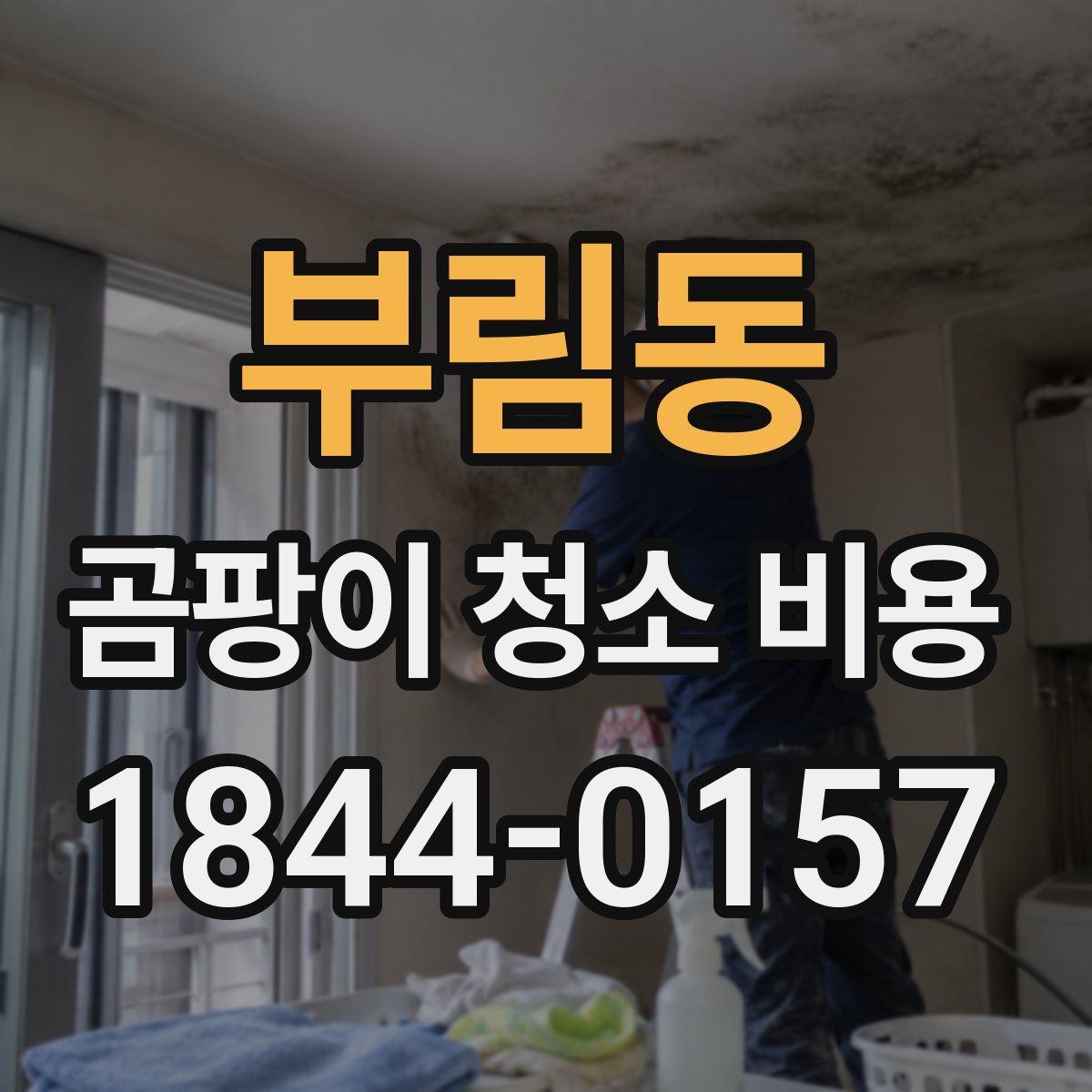 부림동 곰팡이 청소 비용