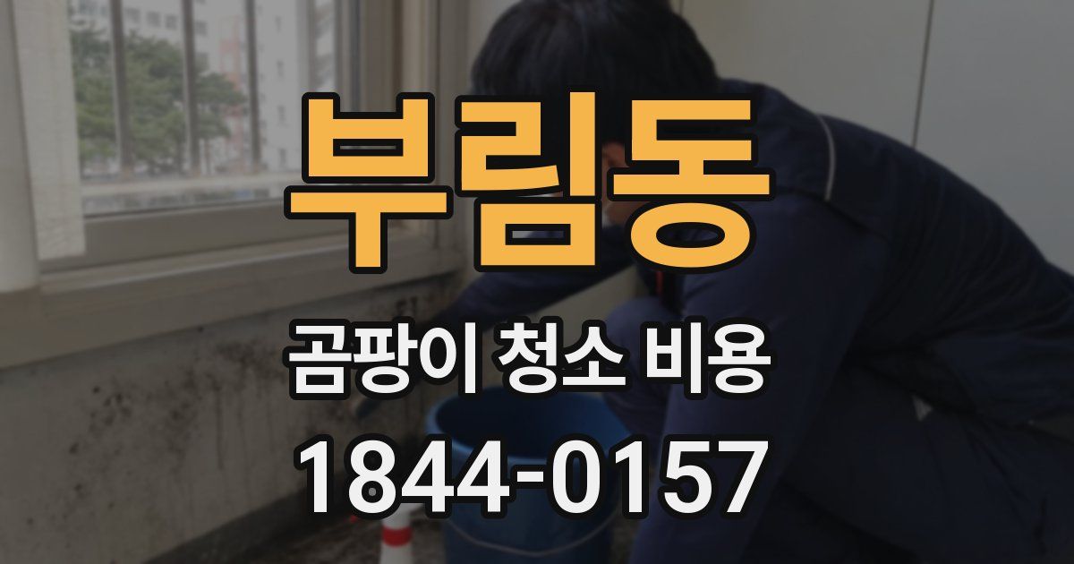 부림동 곰팡이 청소 비용