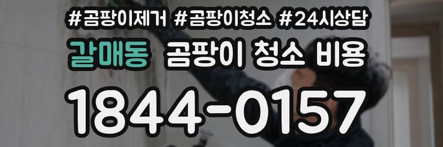 갈매동 곰팡이 청소 비용