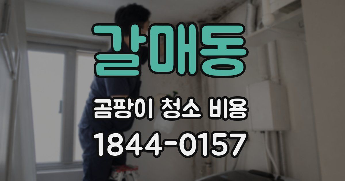 갈매동 곰팡이 청소 비용