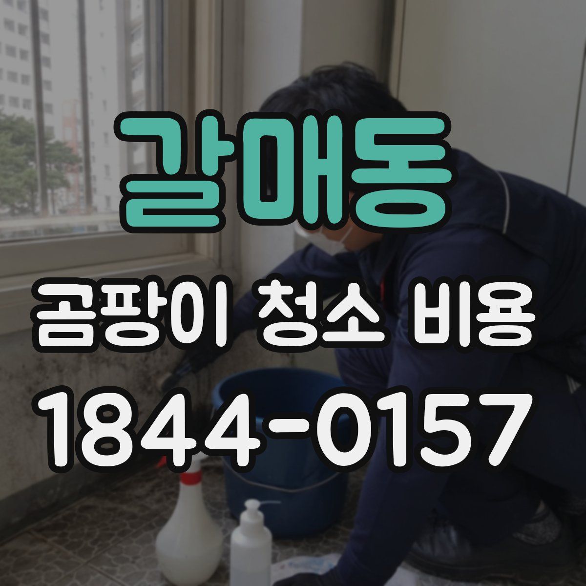 갈매동 곰팡이 청소 비용