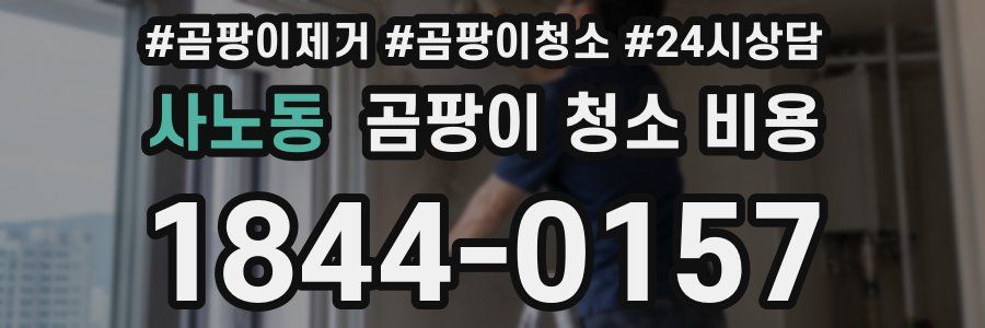 사노동 곰팡이 청소 비용