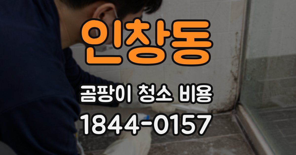 인창동 곰팡이 청소 비용