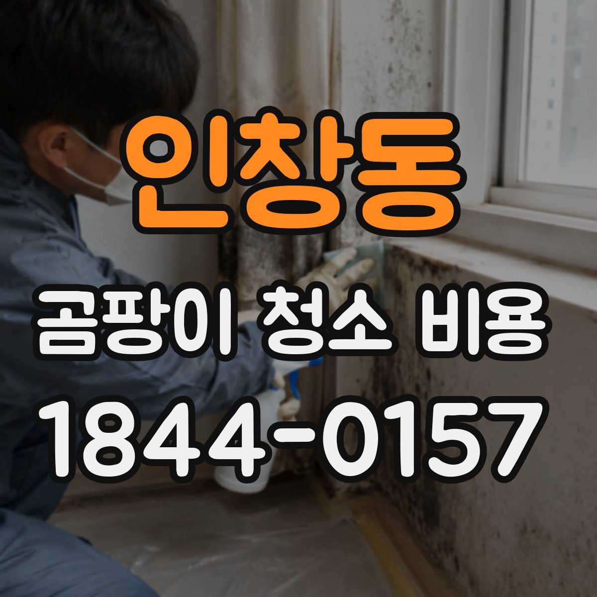 인창동 곰팡이 청소 비용