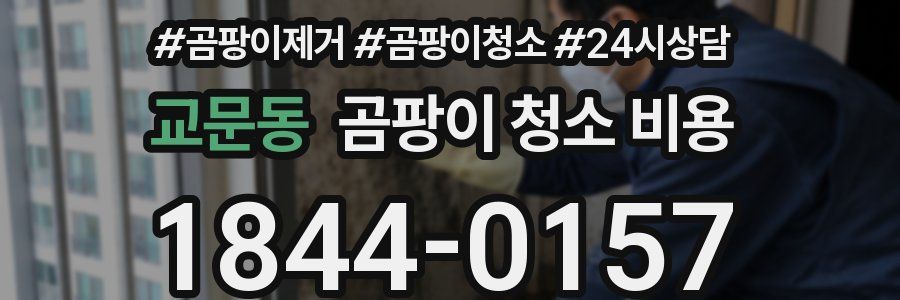 교문동 곰팡이 청소 비용
